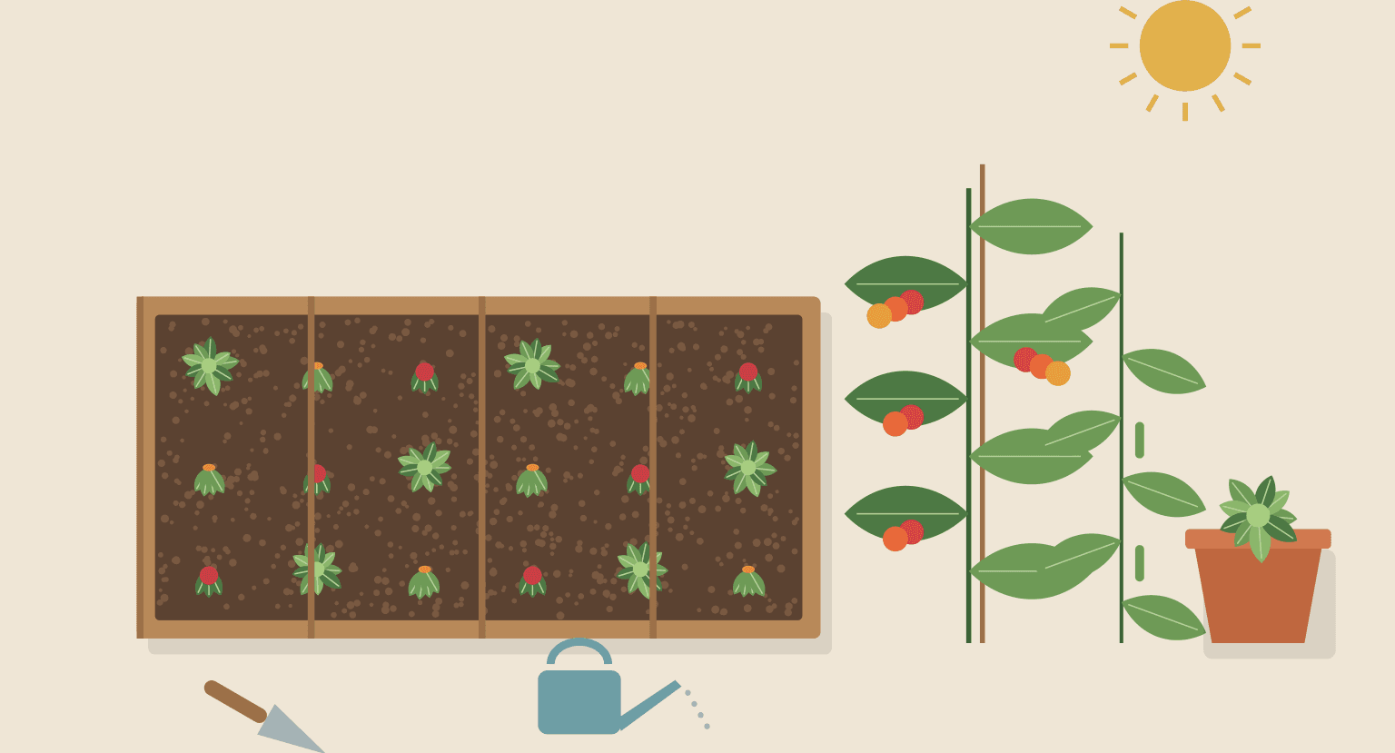 Original illustration from the ebook: a raised vegetable bed, a staked tomato plant, beans, a potted lettuce and a watering can