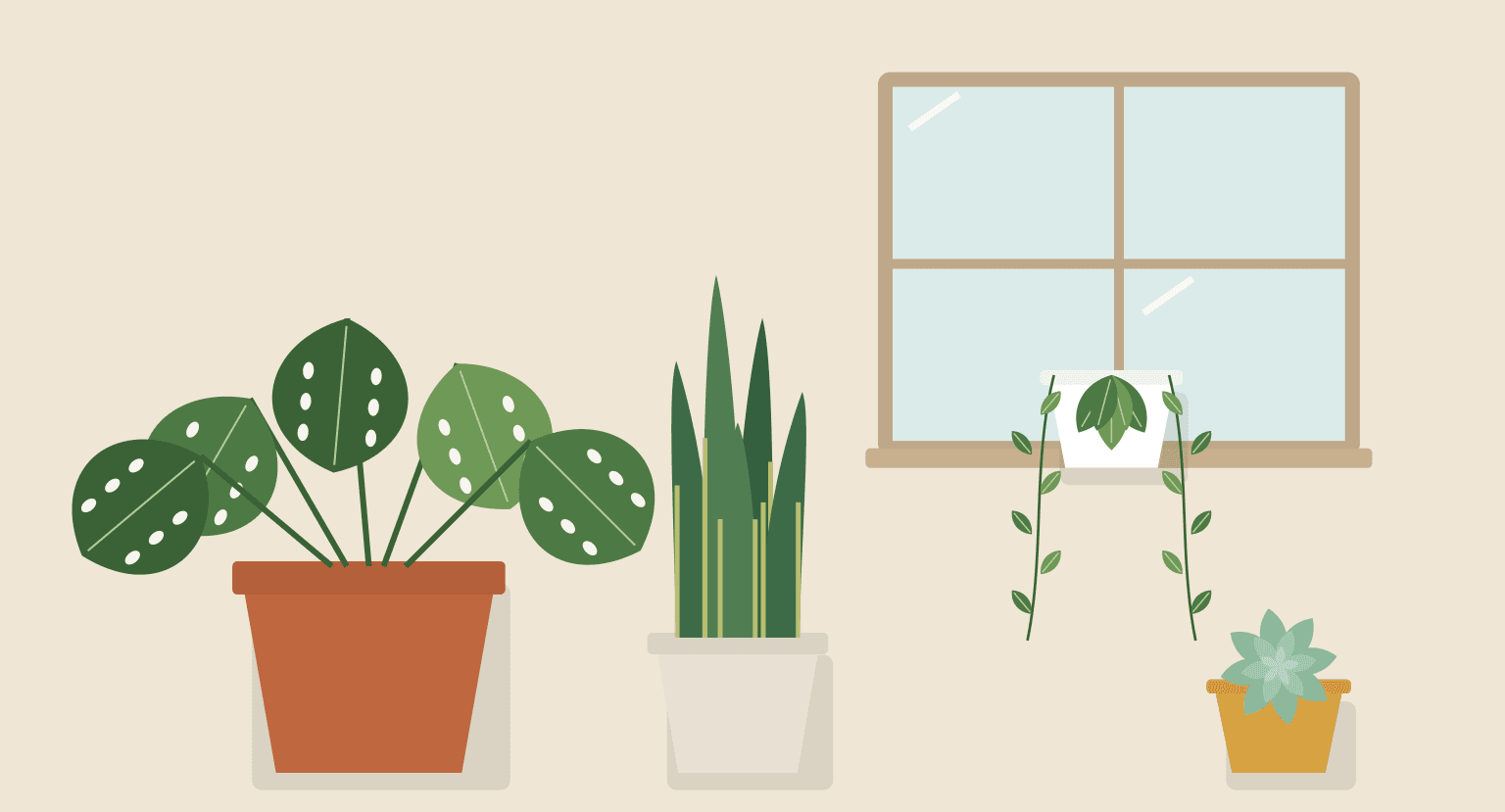 Original illustration from the ebook: a spotted-leaf pilea, a snake plant, a trailing pothos on a windowsill and a small succulent