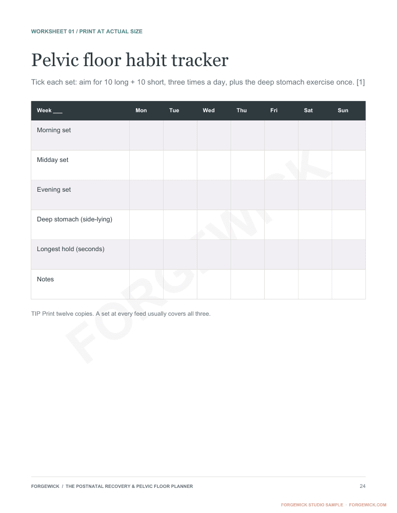 Page 24: a printable pelvic floor habit tracker with three sets a day