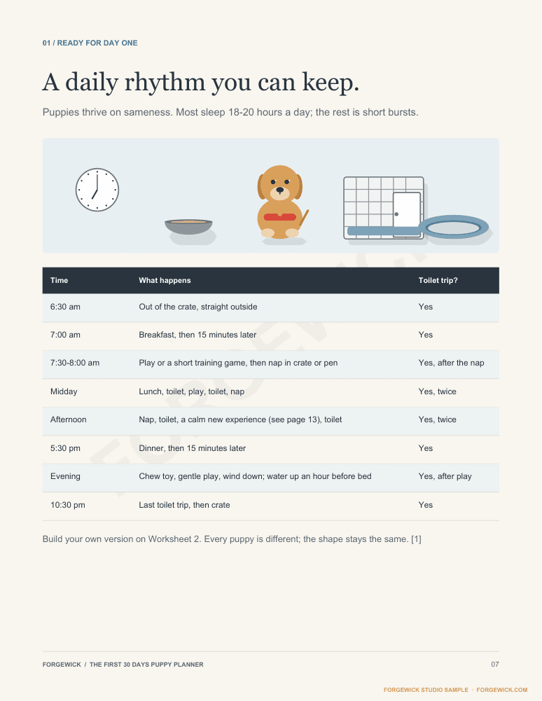 Page 7: a daily rhythm you can keep, with toilet trips after every nap, meal and play
